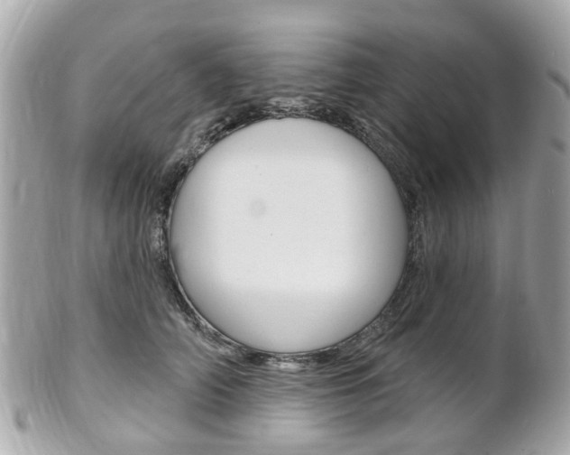 X0000102000706200807180848