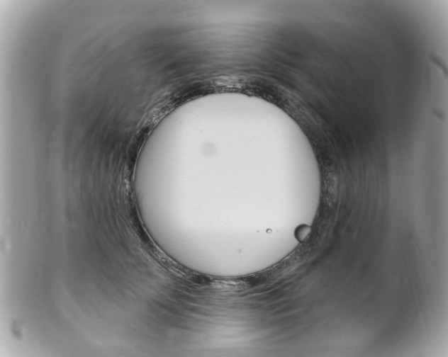 X0000102000707200807180848