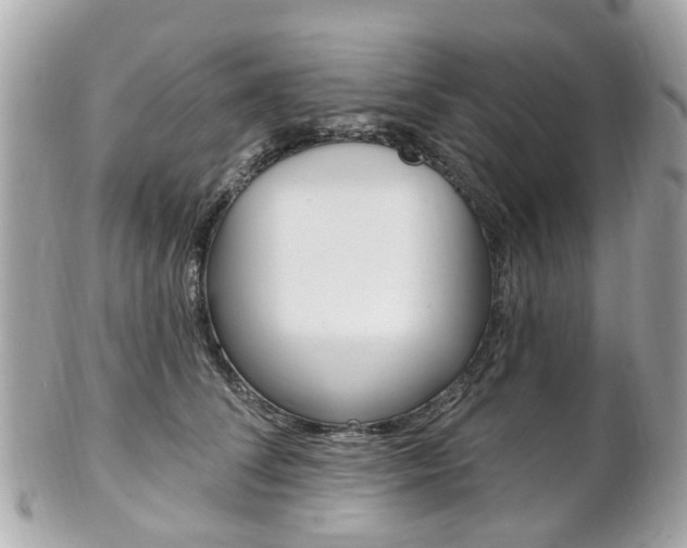 X0000102000708200807180848
