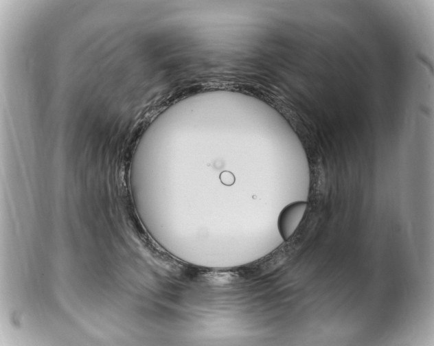 X0000102000711200807180848