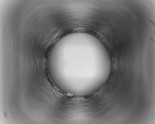 X0000102000712200807180848