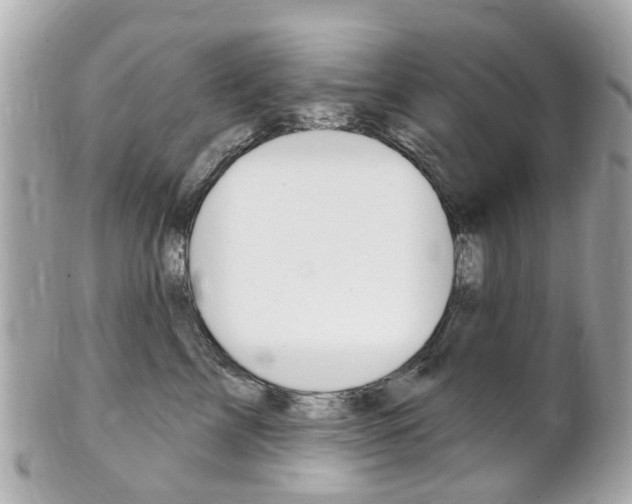 X0000102000713200807180848