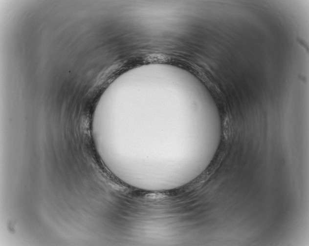 X0000102000714200807180848