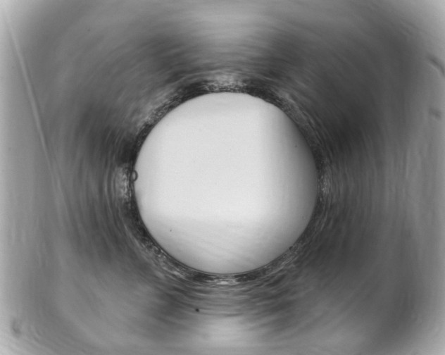X0000102000715200807180848