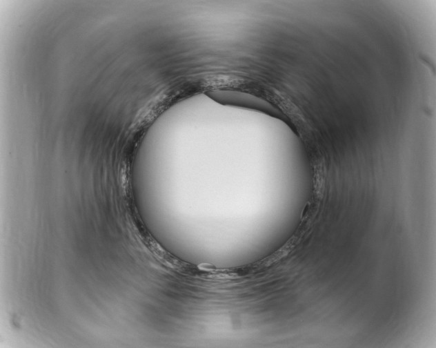 X0000102000716200807180848