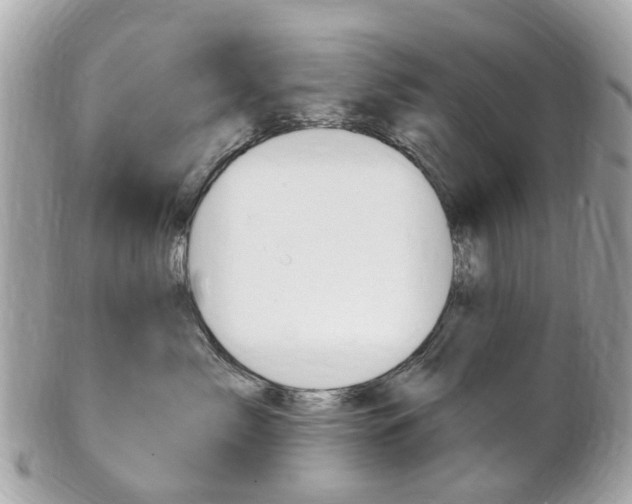 X0000102000717200807180848