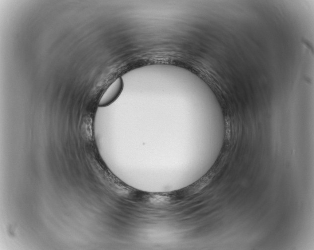 X0000102000718200807180848