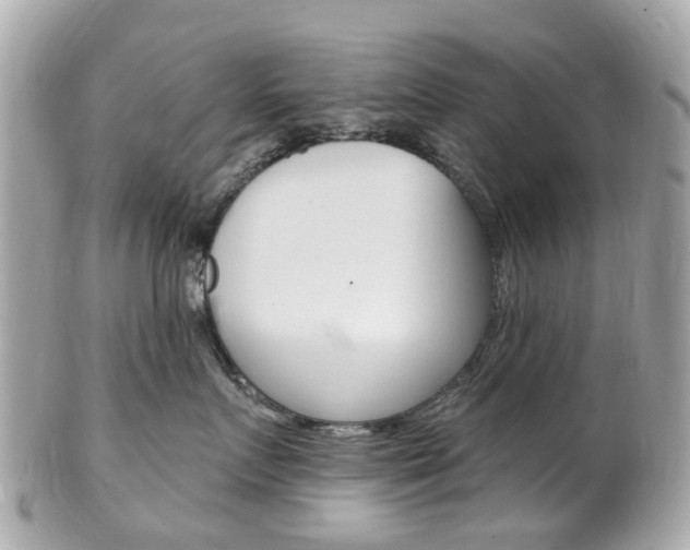 X0000102000719200807180848