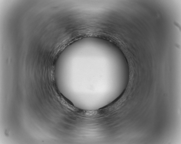X0000102000720200807180848