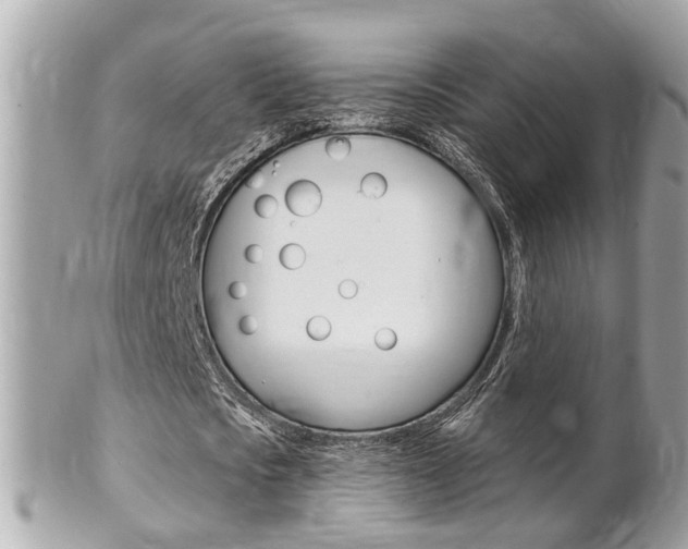 X0000102000721200807180847