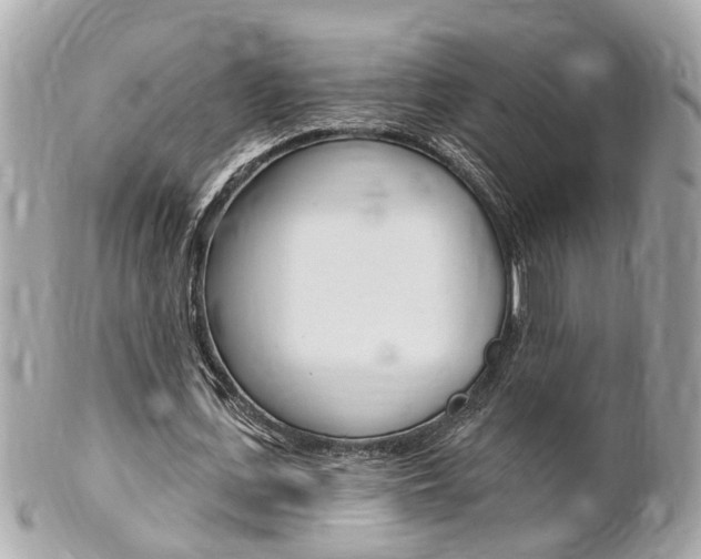 X0000102000723200807180847