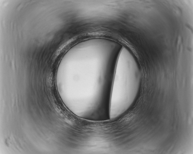 X0000102000724200807180847