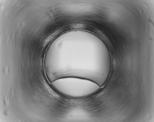 X0000102000725200807180847