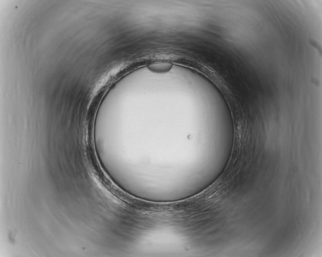 X0000102000726200807180848