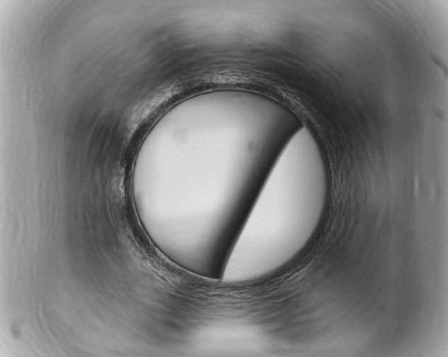 X0000102000727200807180848