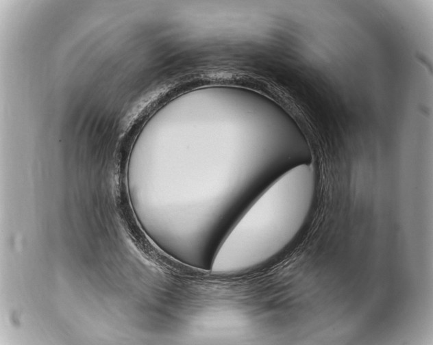 X0000102000728200807180848