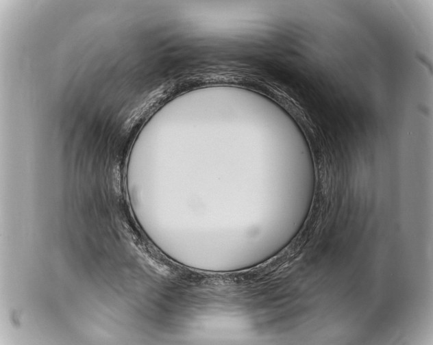 X0000102000729200807180848