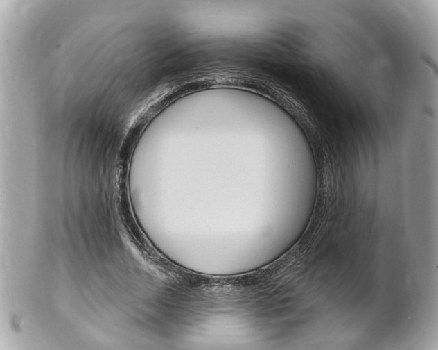 X0000102000730200807180848