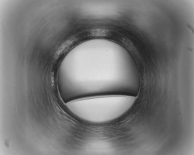 X0000102000731200807180848