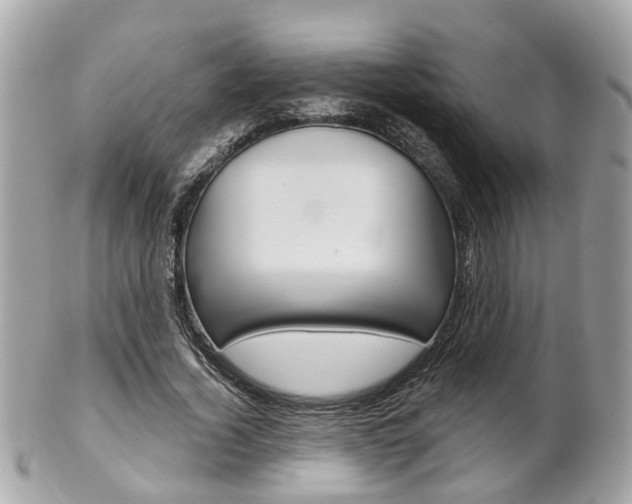 X0000102000732200807180848