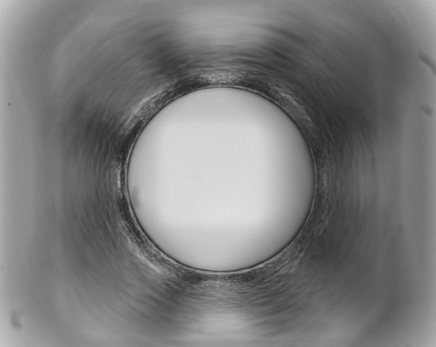 X0000102000733200807180848