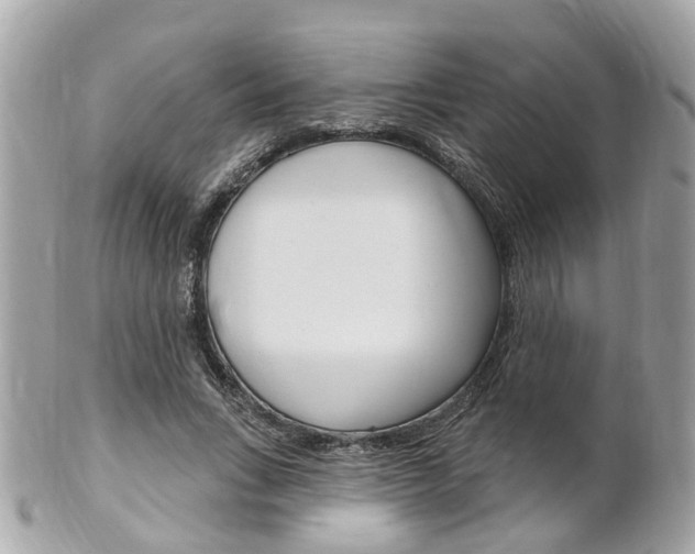 X0000102000735200807180848
