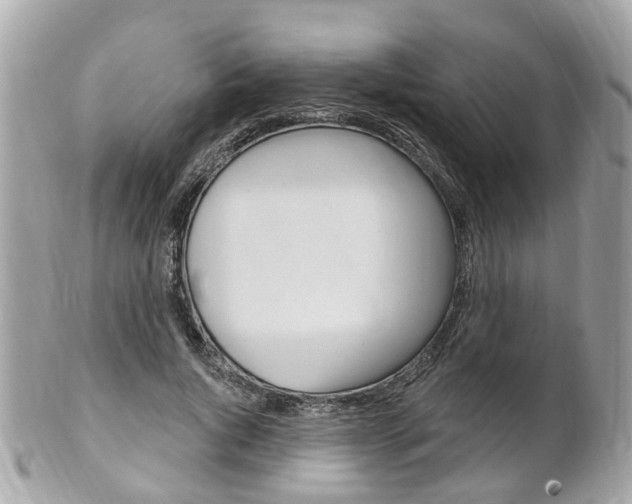 X0000102000736200807180848