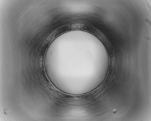 X0000102000737200807180848