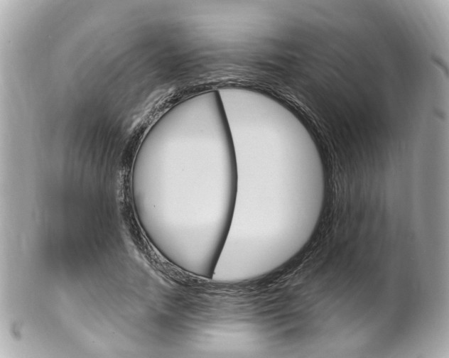 X0000102000738200807180848