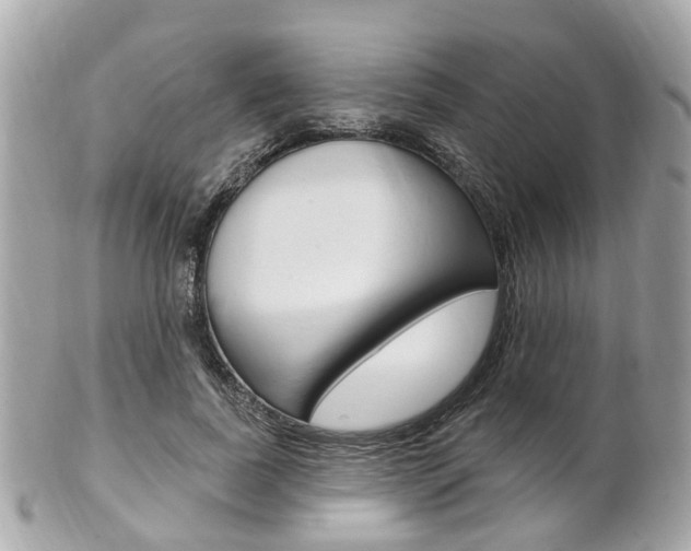 X0000102000739200807180848