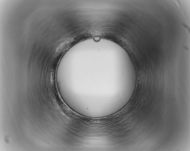 X0000102000740200807180848