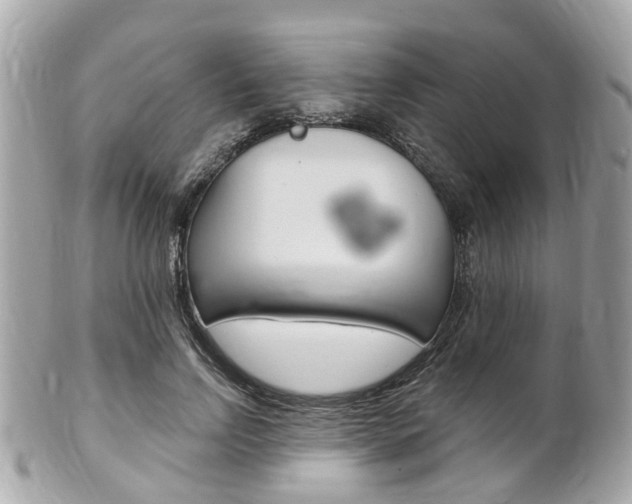 X0000102000742200807180848