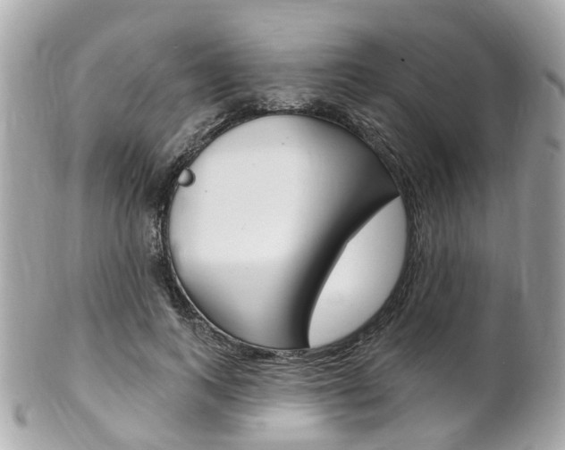 X0000102000743200807180848