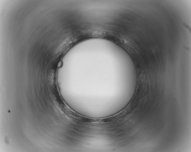 X0000102000744200807180848
