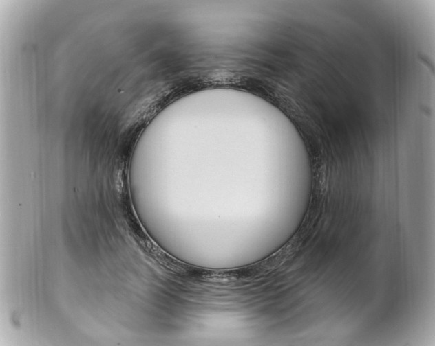 X0000102000746200807180848