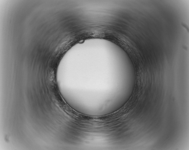 X0000102000748200807180848
