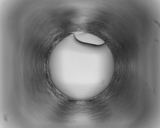X0000102000749200807180848
