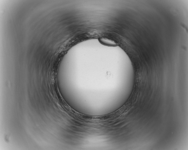 X0000102000751200807180848