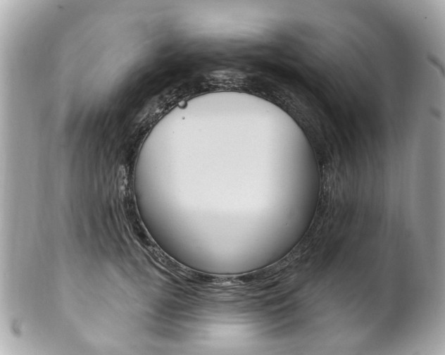 X0000102000752200807180848