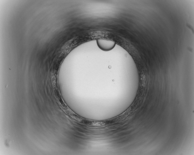 X0000102000753200807180848