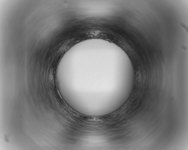 X0000102000754200807180848