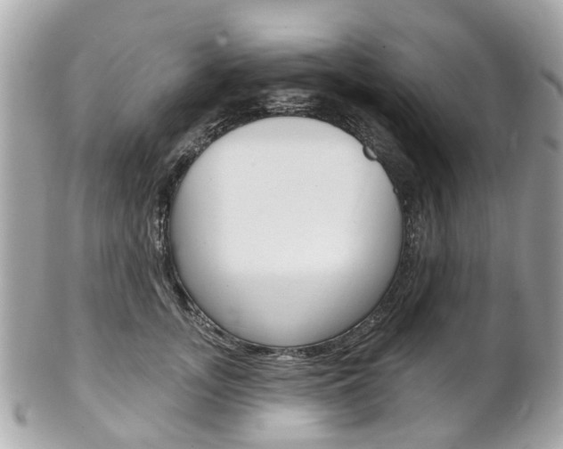 X0000102000755200807180848