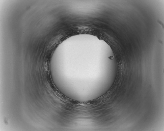 X0000102000756200807180848