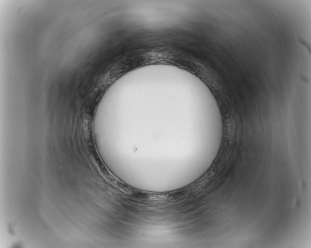 X0000102000757200807180848