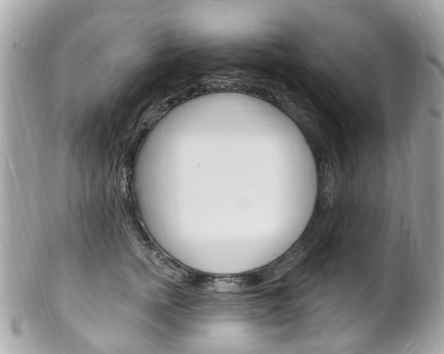 X0000102000758200807180848
