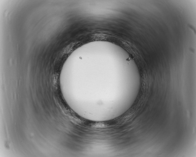X0000102000759200807180848