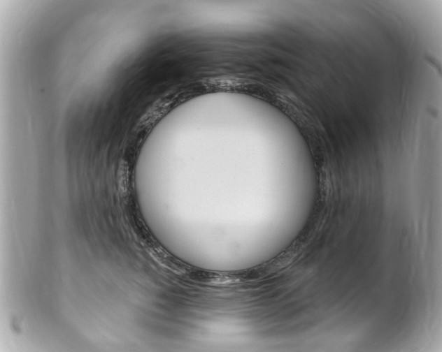 X0000102000760200807180848