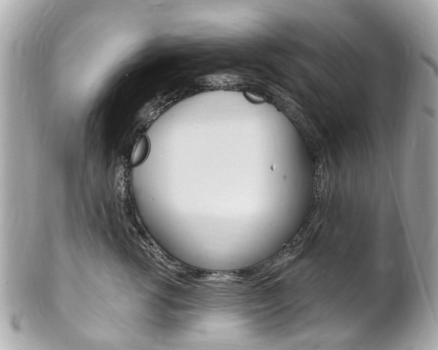 X0000102000762200807180848