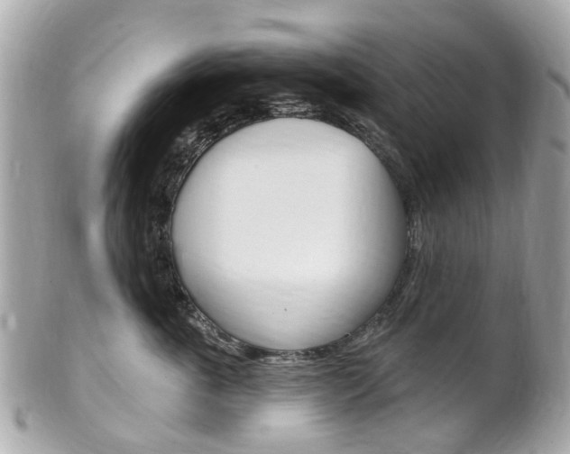 X0000102000763200807180848