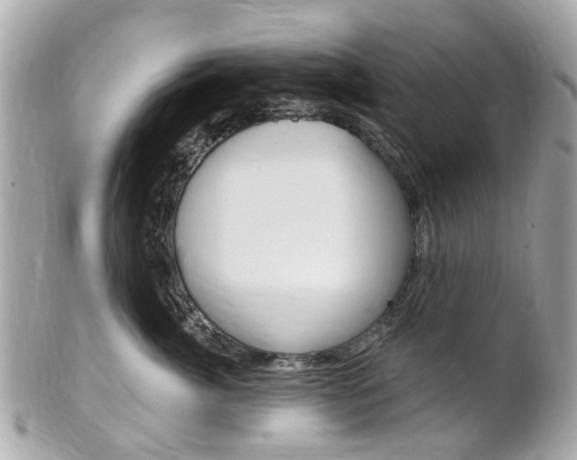 X0000102000764200807180848